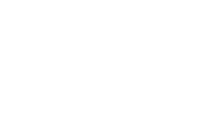 Google Cloud Partner